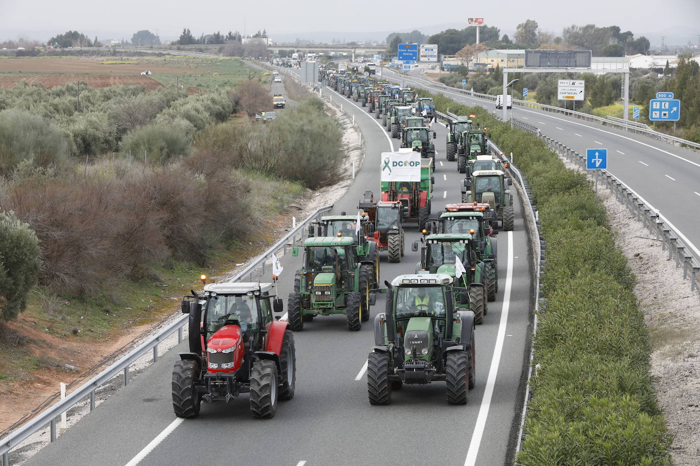 Las manifestaciones de agricultores y ganaderos que están recorriendo España desde el pasado mes de enero para protestar contra los bajos precios del aceite de oliva y de los productos hortofrutícolas han llegado a la provincia con una gran tractorada en el municipio de Antequera.