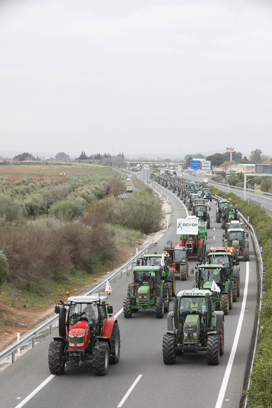 Las manifestaciones de agricultores y ganaderos que están recorriendo España desde el pasado mes de enero para protestar contra los bajos precios del aceite de oliva y de los productos hortofrutícolas han llegado a la provincia con una gran tractorada en el municipio de Antequera.