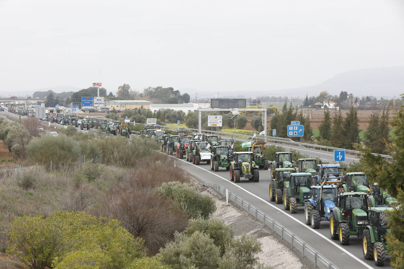 Las manifestaciones de agricultores y ganaderos que están recorriendo España desde el pasado mes de enero para protestar contra los bajos precios del aceite de oliva y de los productos hortofrutícolas han llegado a la provincia con una gran tractorada en el municipio de Antequera.