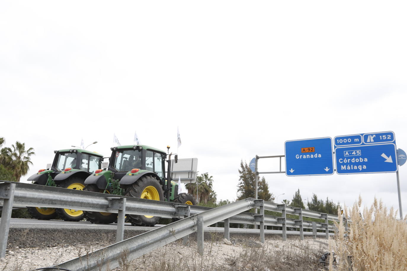 Las manifestaciones de agricultores y ganaderos que están recorriendo España desde el pasado mes de enero para protestar contra los bajos precios del aceite de oliva y de los productos hortofrutícolas han llegado a la provincia con una gran tractorada en el municipio de Antequera.