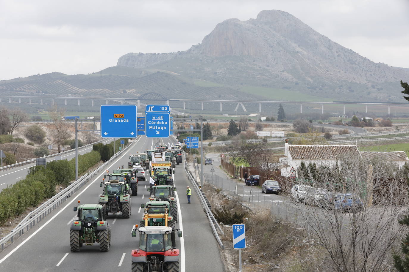 Las manifestaciones de agricultores y ganaderos que están recorriendo España desde el pasado mes de enero para protestar contra los bajos precios del aceite de oliva y de los productos hortofrutícolas han llegado a la provincia con una gran tractorada en el municipio de Antequera.