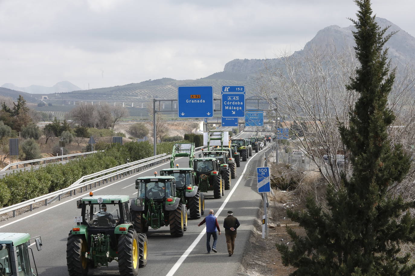 Las manifestaciones de agricultores y ganaderos que están recorriendo España desde el pasado mes de enero para protestar contra los bajos precios del aceite de oliva y de los productos hortofrutícolas han llegado a la provincia con una gran tractorada en el municipio de Antequera.