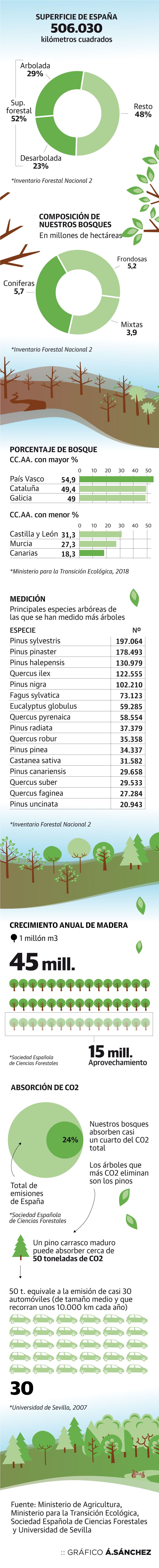 Radiografía de los bosques nacionales