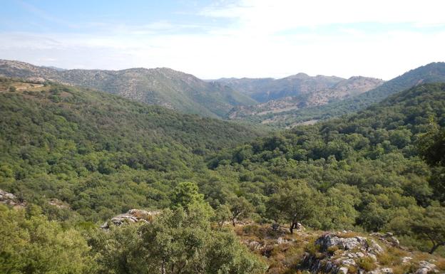 Parque natural de Los Alcornocales (Cádiz)