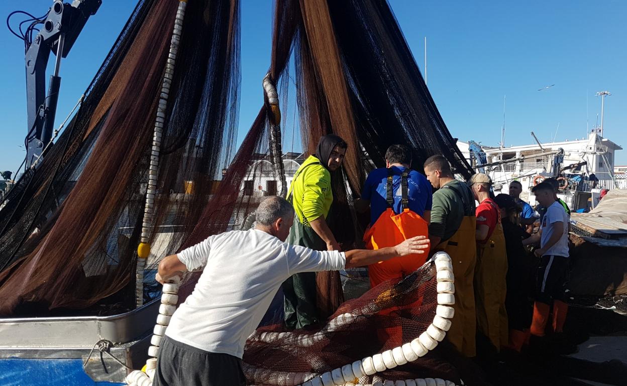 Ayer no salieron ya a faenar los barcos de pesca de cerco . 