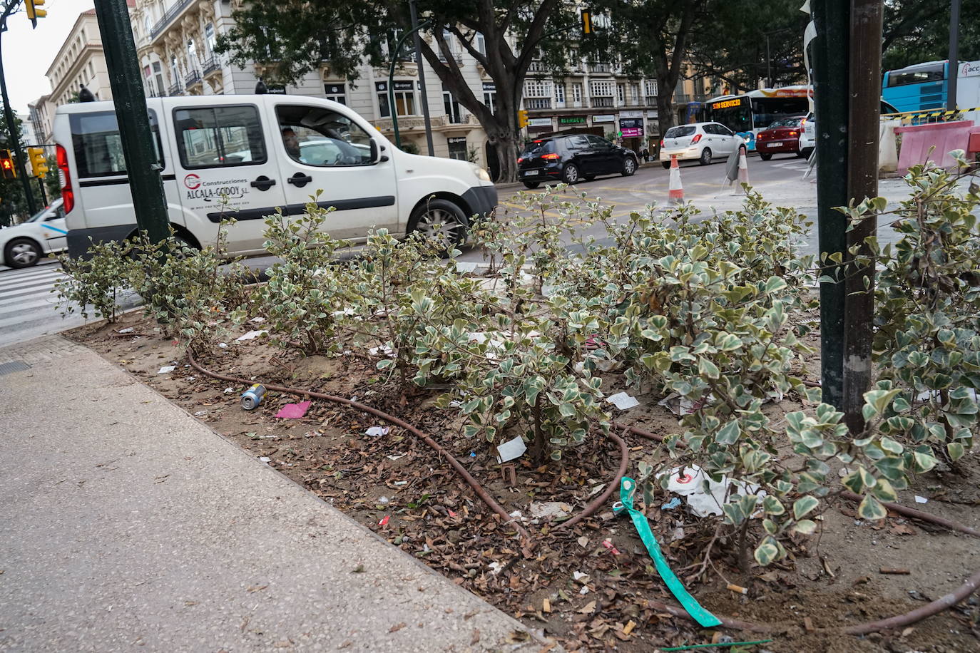 Fotos: Las zonas verdes de la nueva Alameda Principal, muy deterioradas