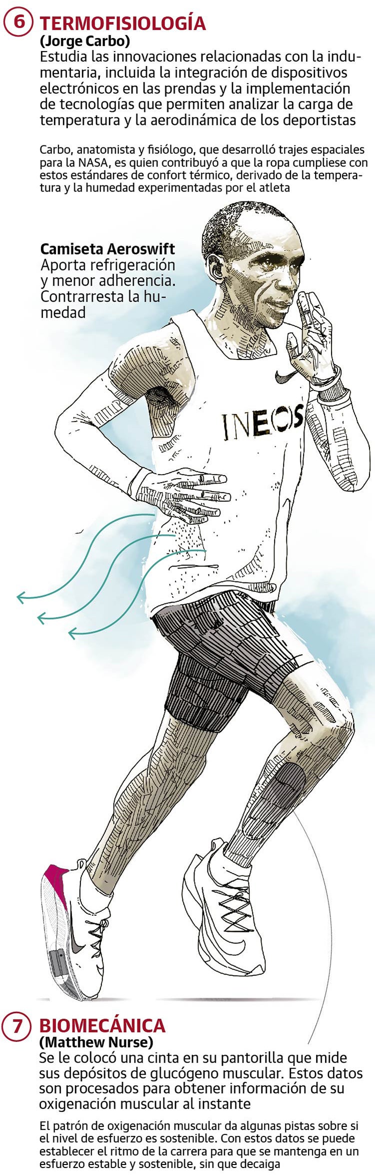 La ciencia tras un récord de maratón