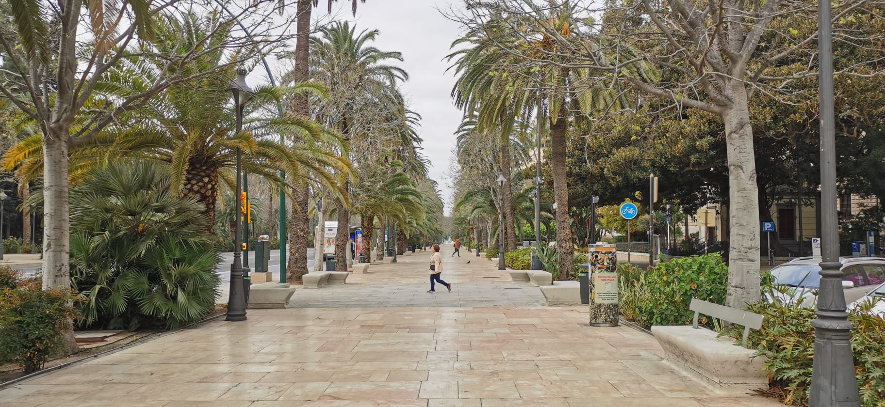 Ambiente en el Paseo del Parque