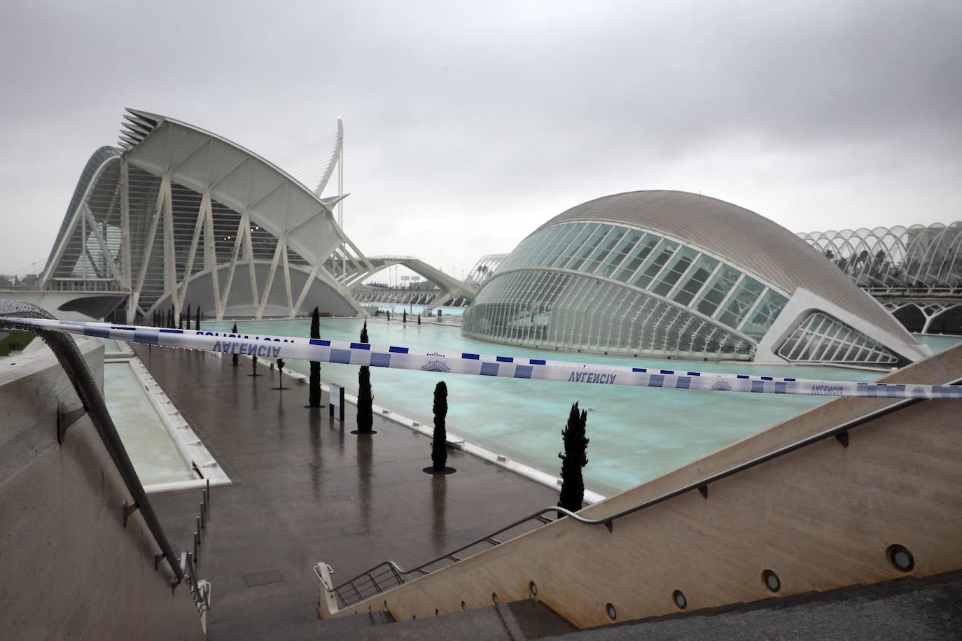 La Ciudad de las Artes y las Ciencias de Valencia.