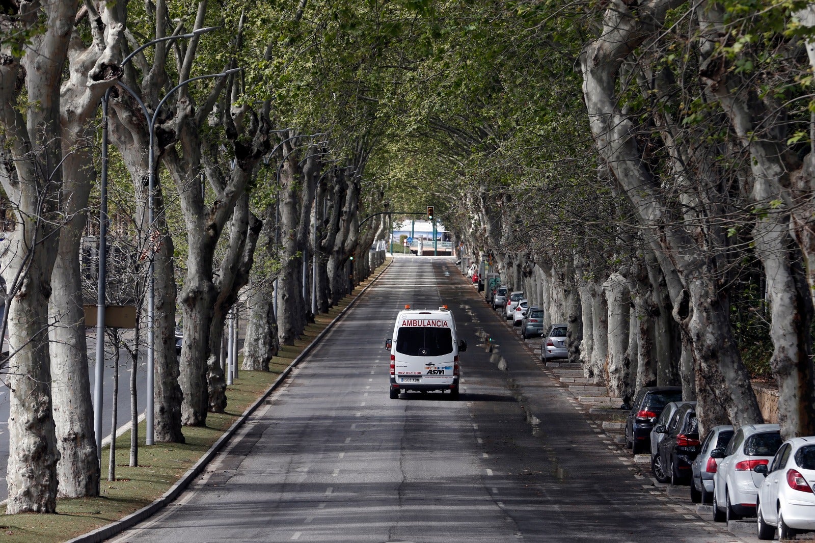 Así ha amanecido la capital este sábado.