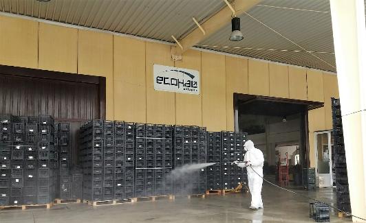 Labores de desinfección en un almacén hortofrutícola del municipio. 