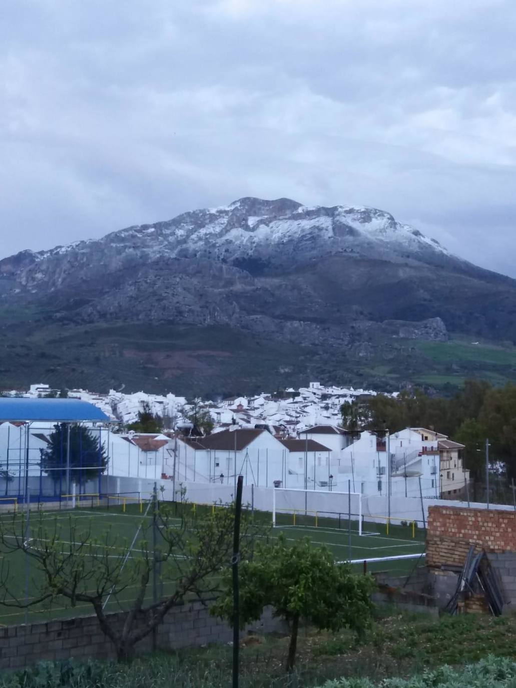 El frente deja hasta nueve centímetros de manto blanco por encima de los 900 metros de altitud. En la imagen, Alfarnate.