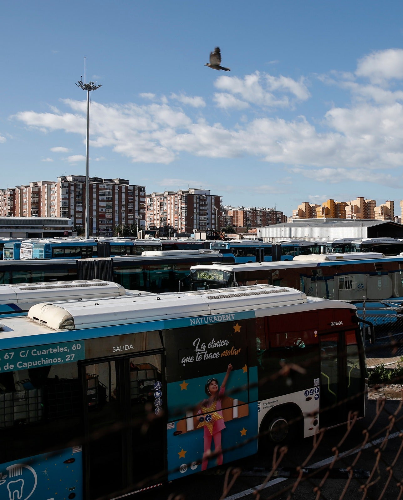 Así se muestra una capital en Estado de Alarma