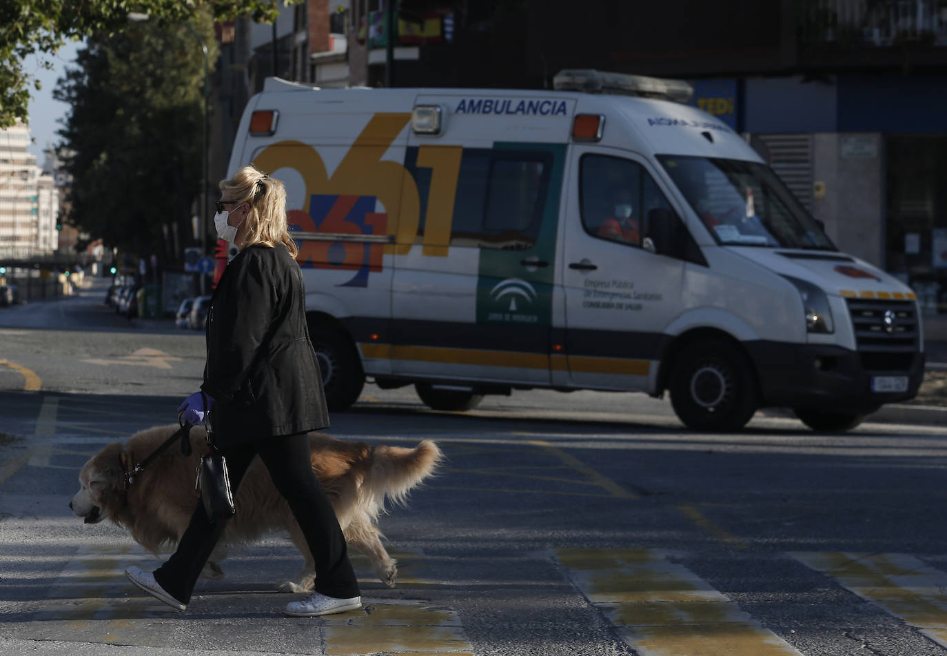 Una mujer pasea a su perro, una de las pocas acciones que están permitidas.