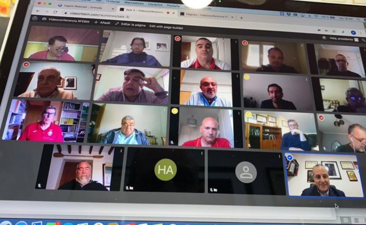 Un momento de la junta directiva de la Real Federación Española de Balonmano, por videoconferencia. 