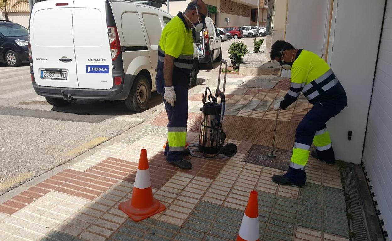 Realizan trabajos de desinsectación y desratización de la red de saneamiento