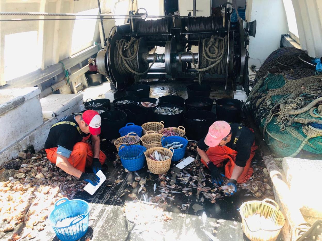 Tripulantes de un arrastrero de la costa malagueña clasificando las capturas. SUR