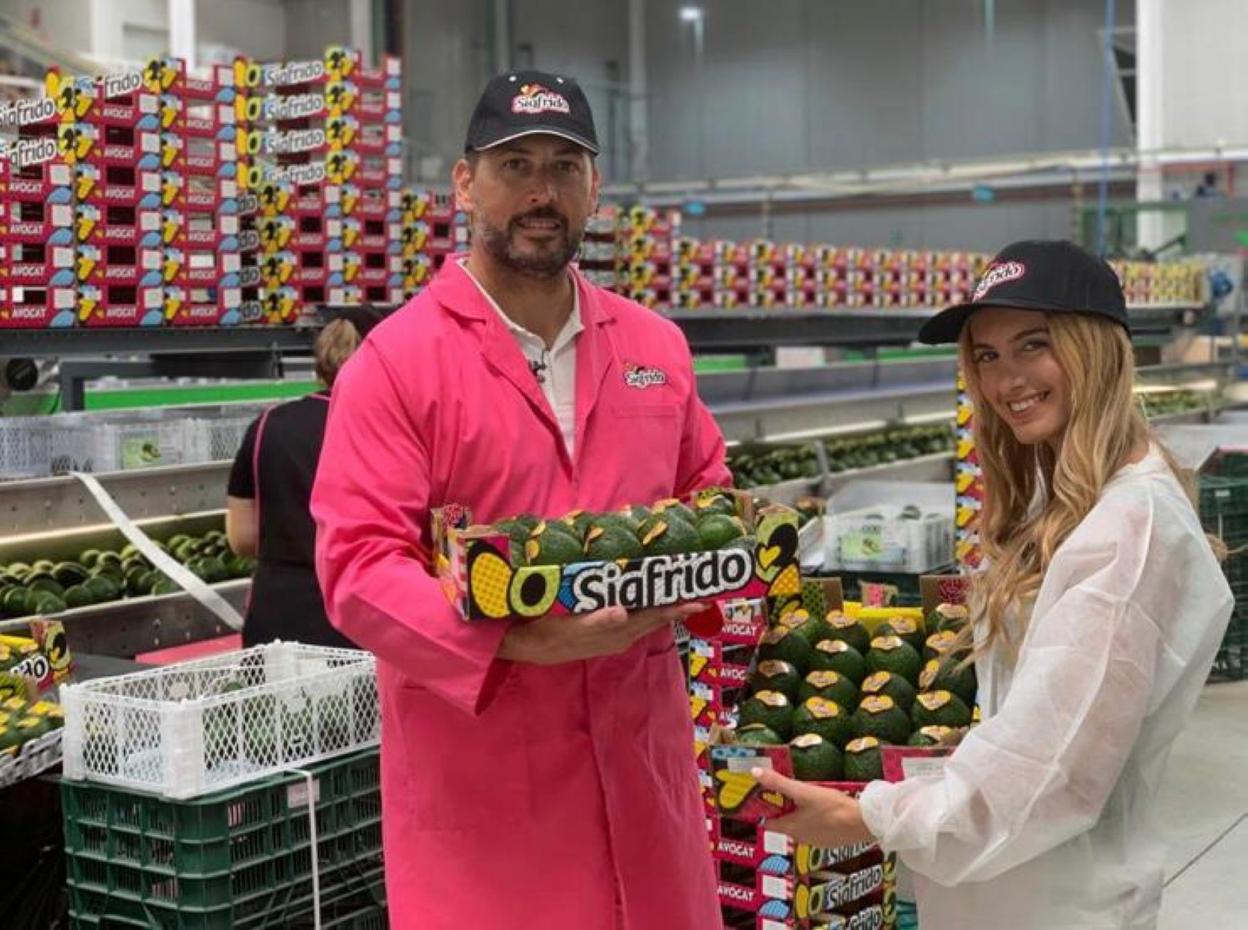 El aguacate se muestra inmune a la crisis del coronavirus