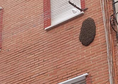 Imagen secundaria 1 - Así retiran un enjambre de abejas de un edificio de la calle Martínez de la Rosa de Málaga capital