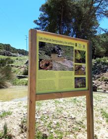 Imagen secundaria 2 - Premian un proyecto para la recuperación de hábitats de anfibios en la Gran Senda de Málaga