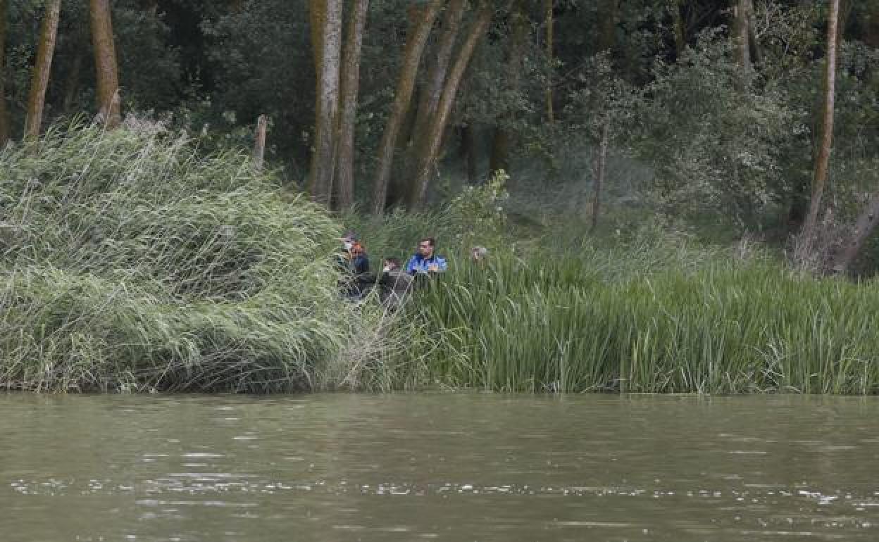 El alcalde de Simancas, junto a un experto en reptiles y agentes de la Policía Local y de la Guardia Civil. 