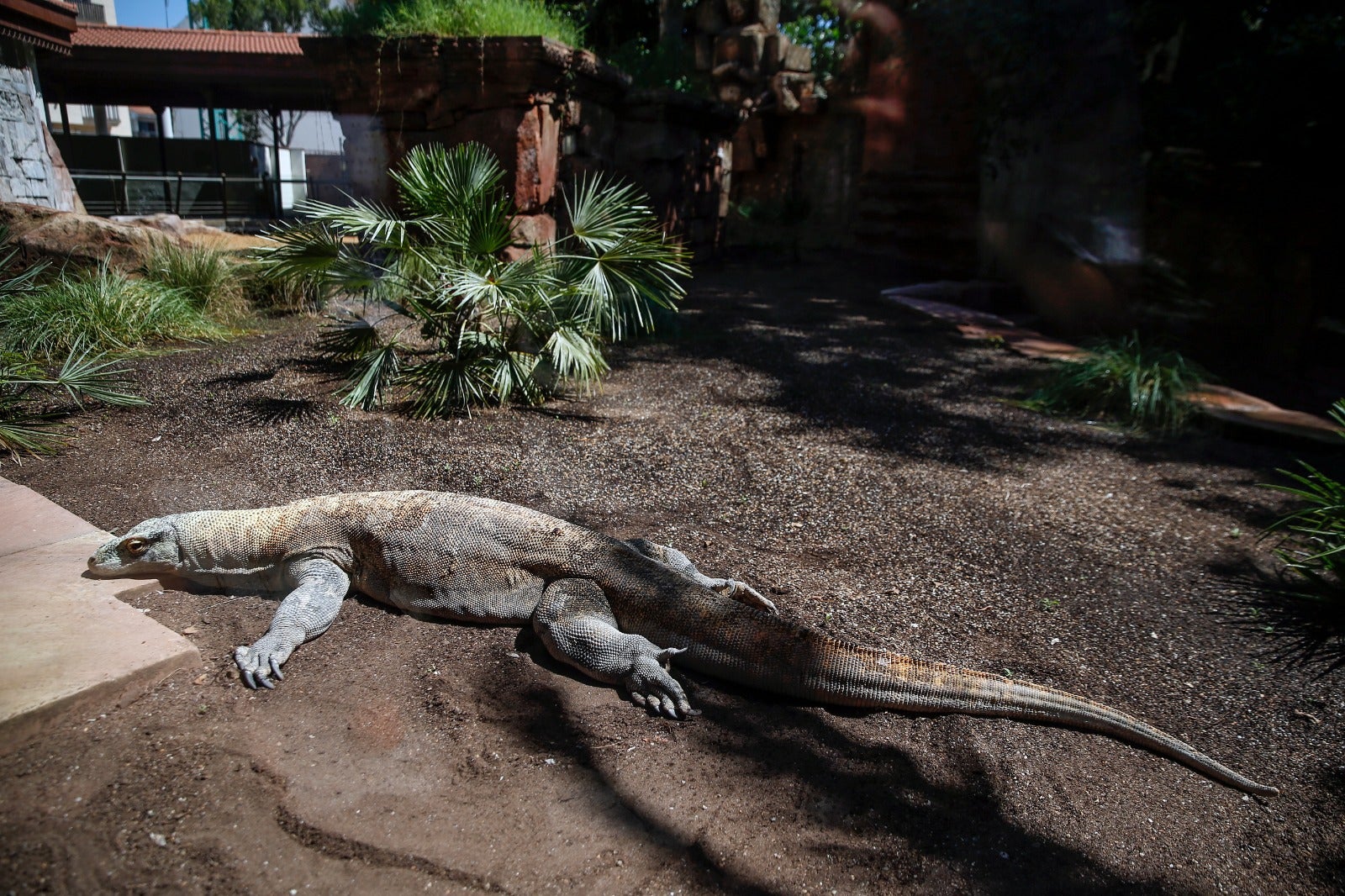 El centro zoológico se convertirá en el primer parque de ocio que abra al público