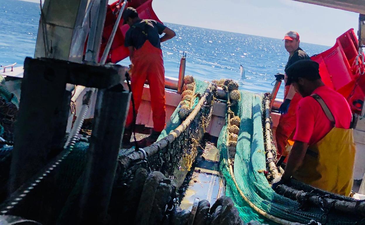 La flota de arrastre de Málaga sufre otro revés por el recorte de los días de pesca que tienen al año