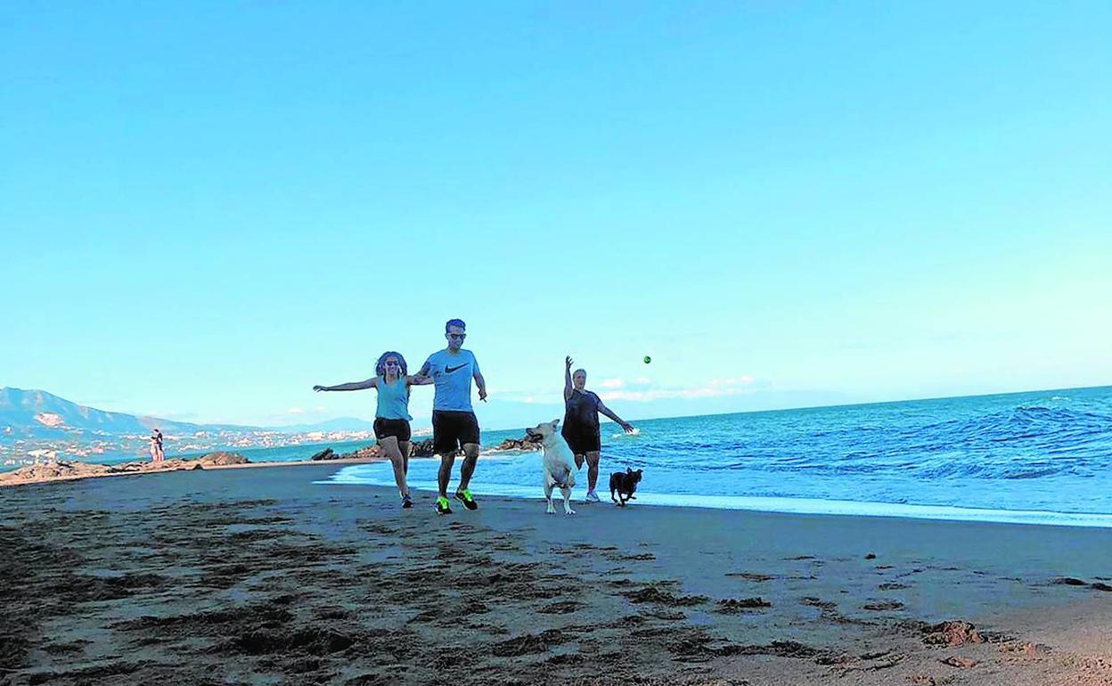 Un FIND de perros: Lugares para el disfrute de nuestros amigos caninos