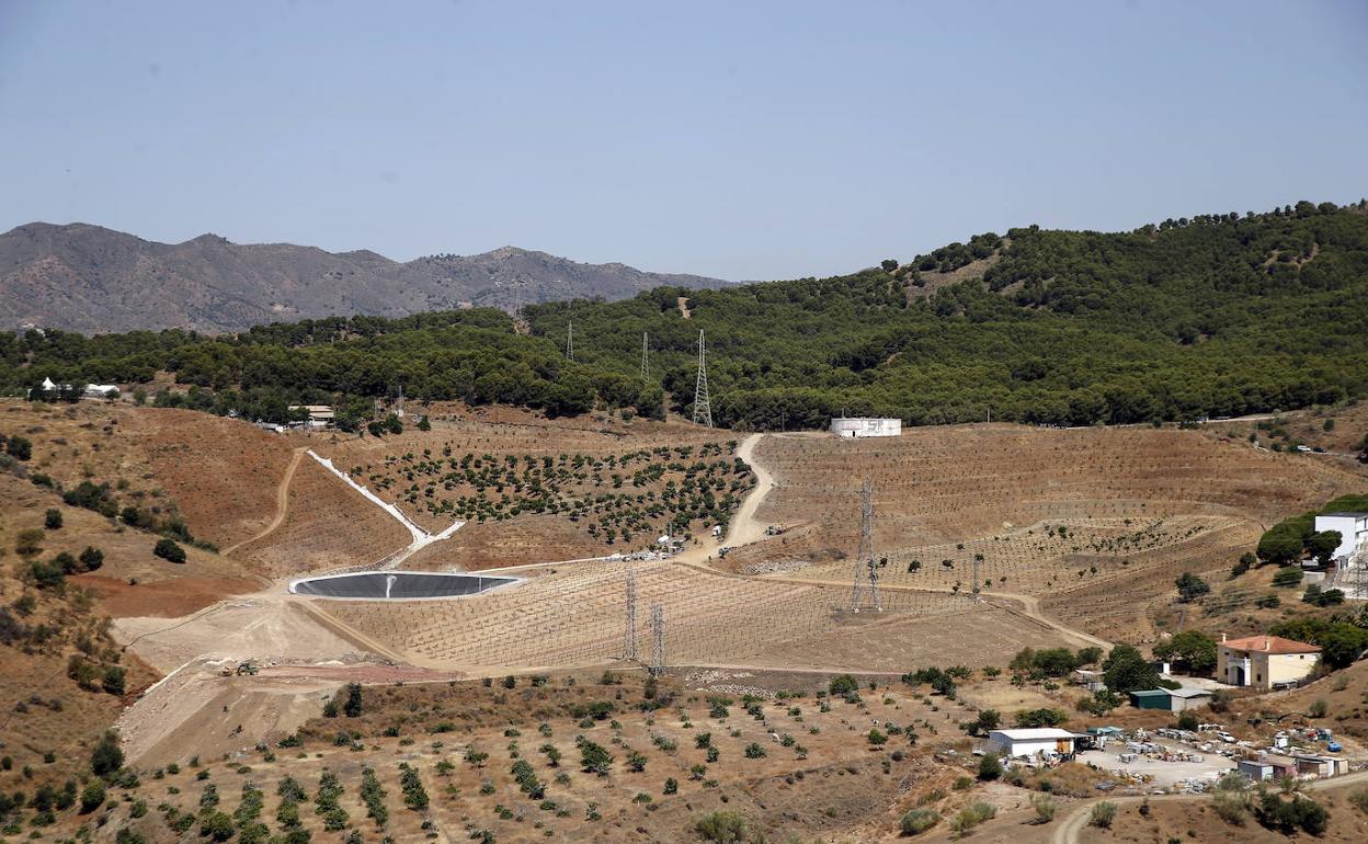 La plantación ocupa una superficie de unos cien mil metros cuadrados. 