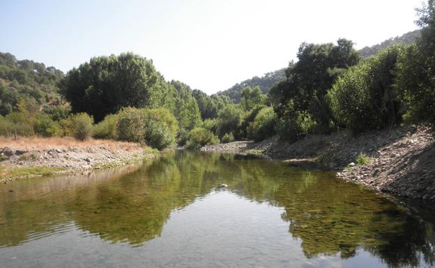 El Genal es un río que ofrece grandes estampas naturales en este tramo.