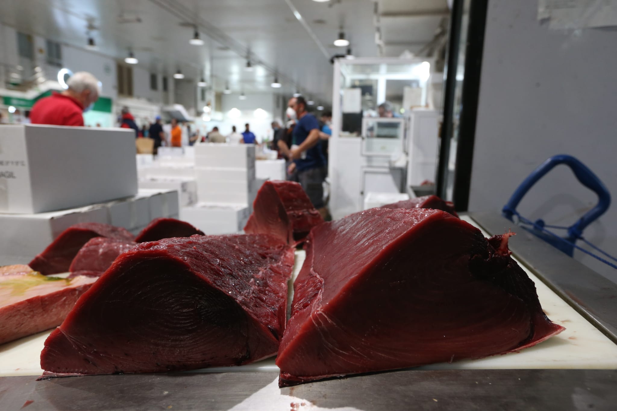 Varios puestos de Mercamálaga, realizan a diario el espectacular despiece de esta especie tan apreciada en el mundo