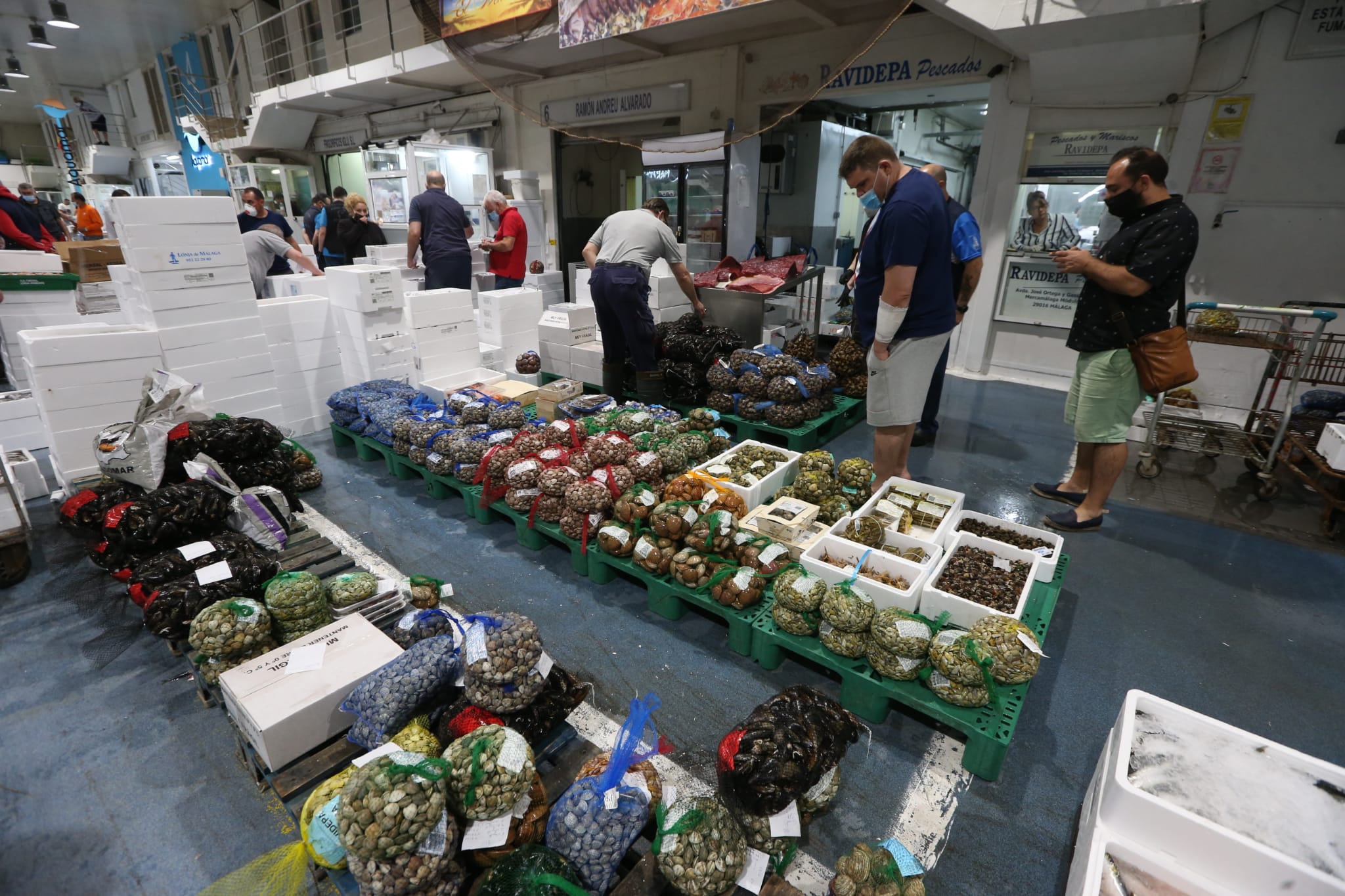 Varios puestos de Mercamálaga, realizan a diario el espectacular despiece de esta especie tan apreciada en el mundo