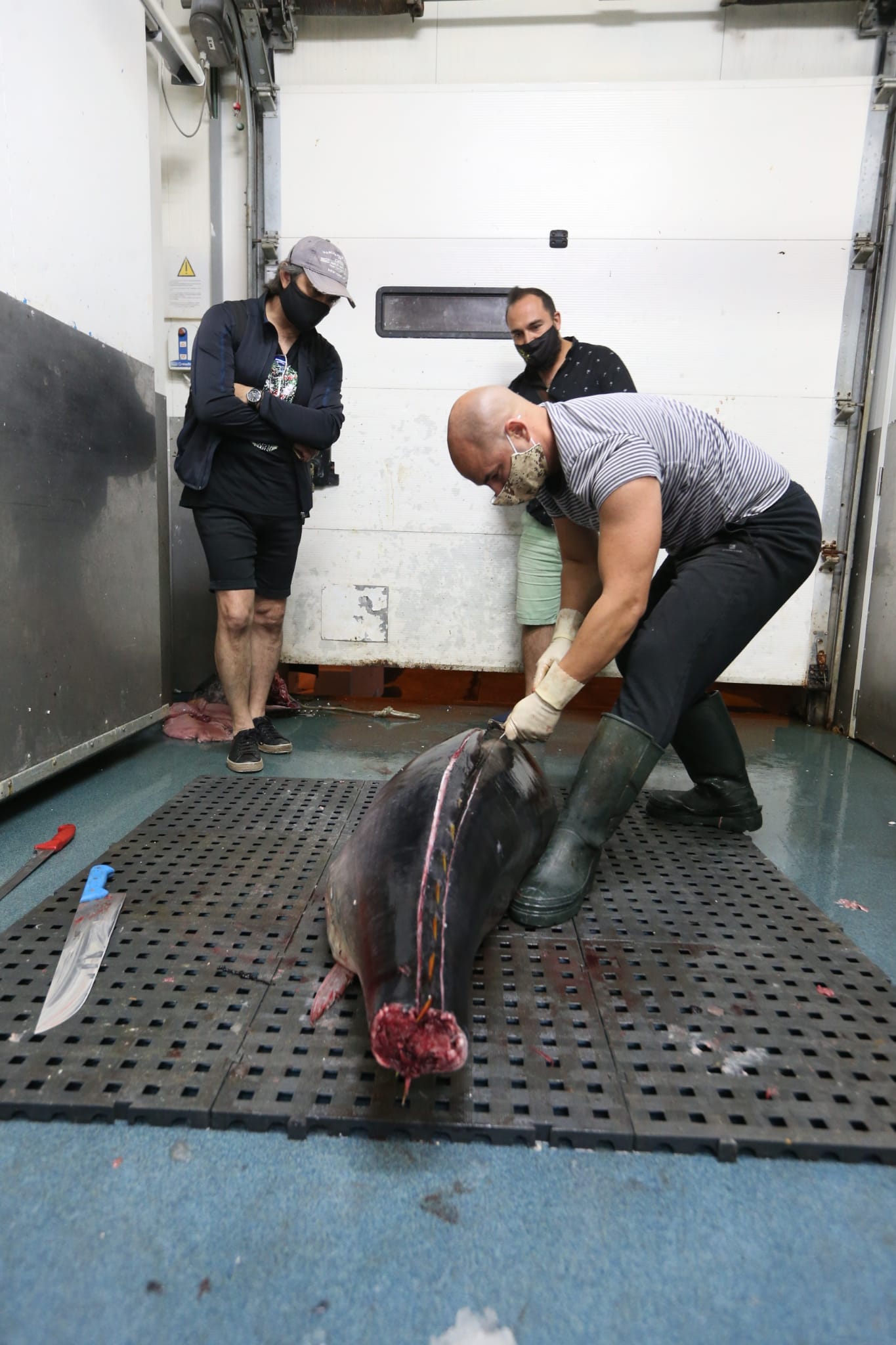 Varios puestos de Mercamálaga, realizan a diario el espectacular despiece de esta especie tan apreciada en el mundo