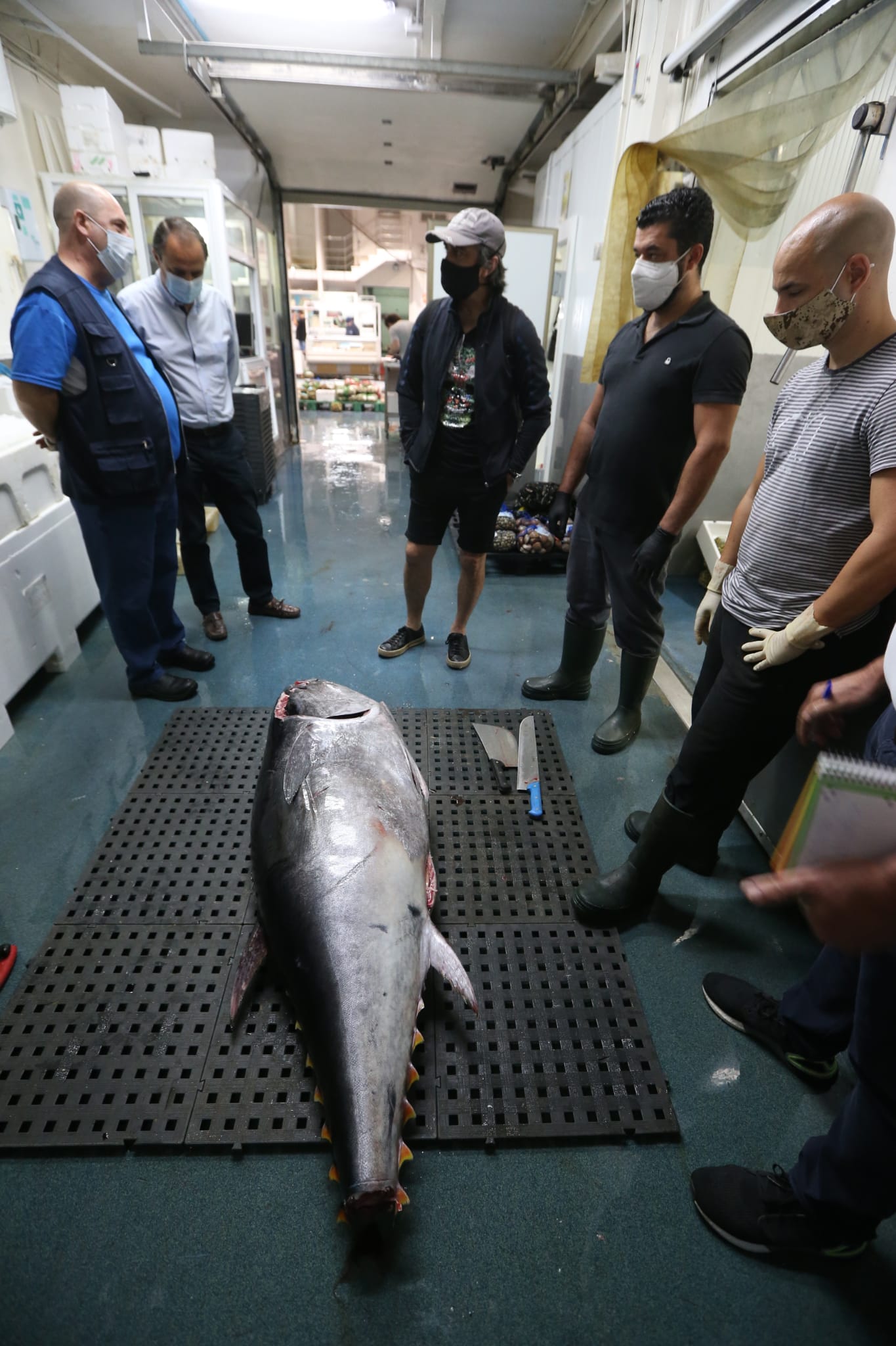 Varios puestos de Mercamálaga, realizan a diario el espectacular despiece de esta especie tan apreciada en el mundo