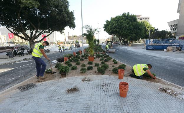 Operarios terminan de colocar las plantas en la mediana delante de la torre de Correos. 