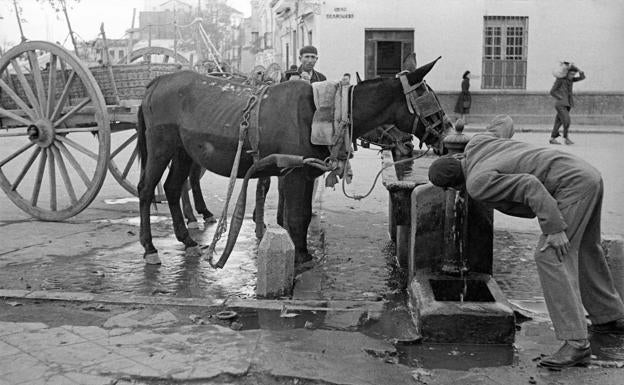 Barrio del Perchel. Fuente de la calle San Jacinto. Hacia 1951. 