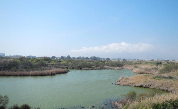 Paraje natural de la Desembocadura del Guadalhorce (Málaga)