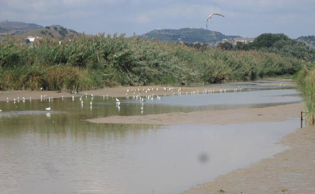 Delta del río Vélez. 