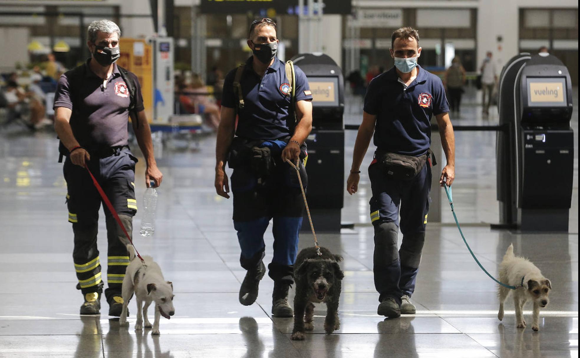 Bomberos malagueños llevan la esperanza a los escombros de Beirut