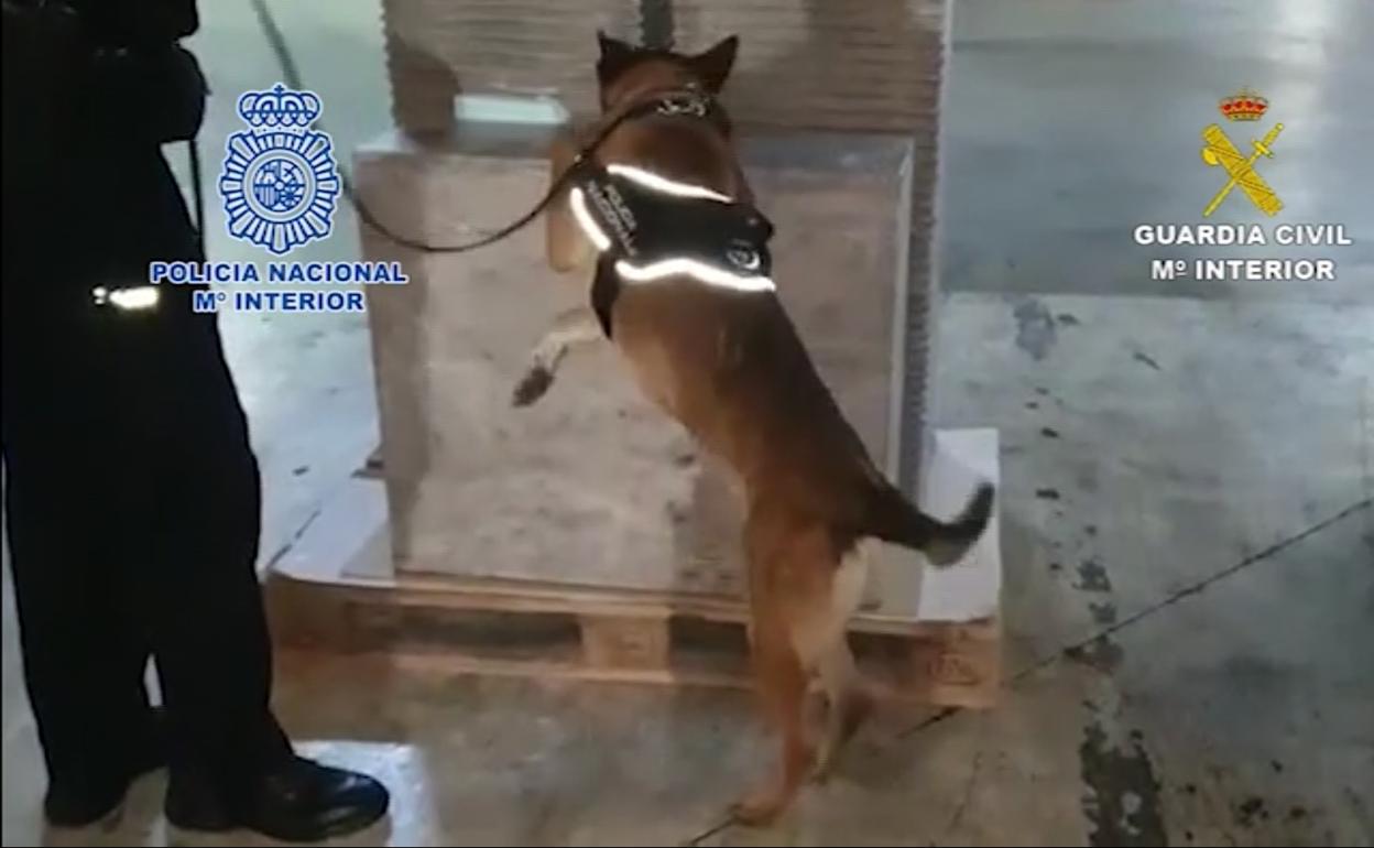 Detienen a diez miembros de una banda asentada en la Costa del Sol que distribuía droga en cajas de galletas