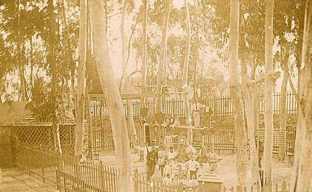 Gimnasio en medio de los eucaliptos.