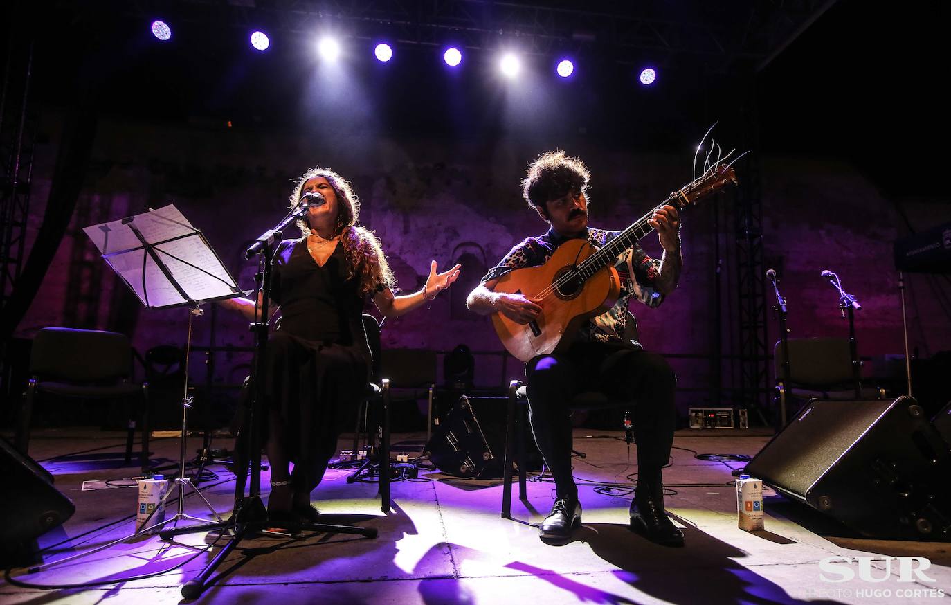 Fotos: Conciertos de Alba Molina y Lin Cortés en el Castillo Sohail