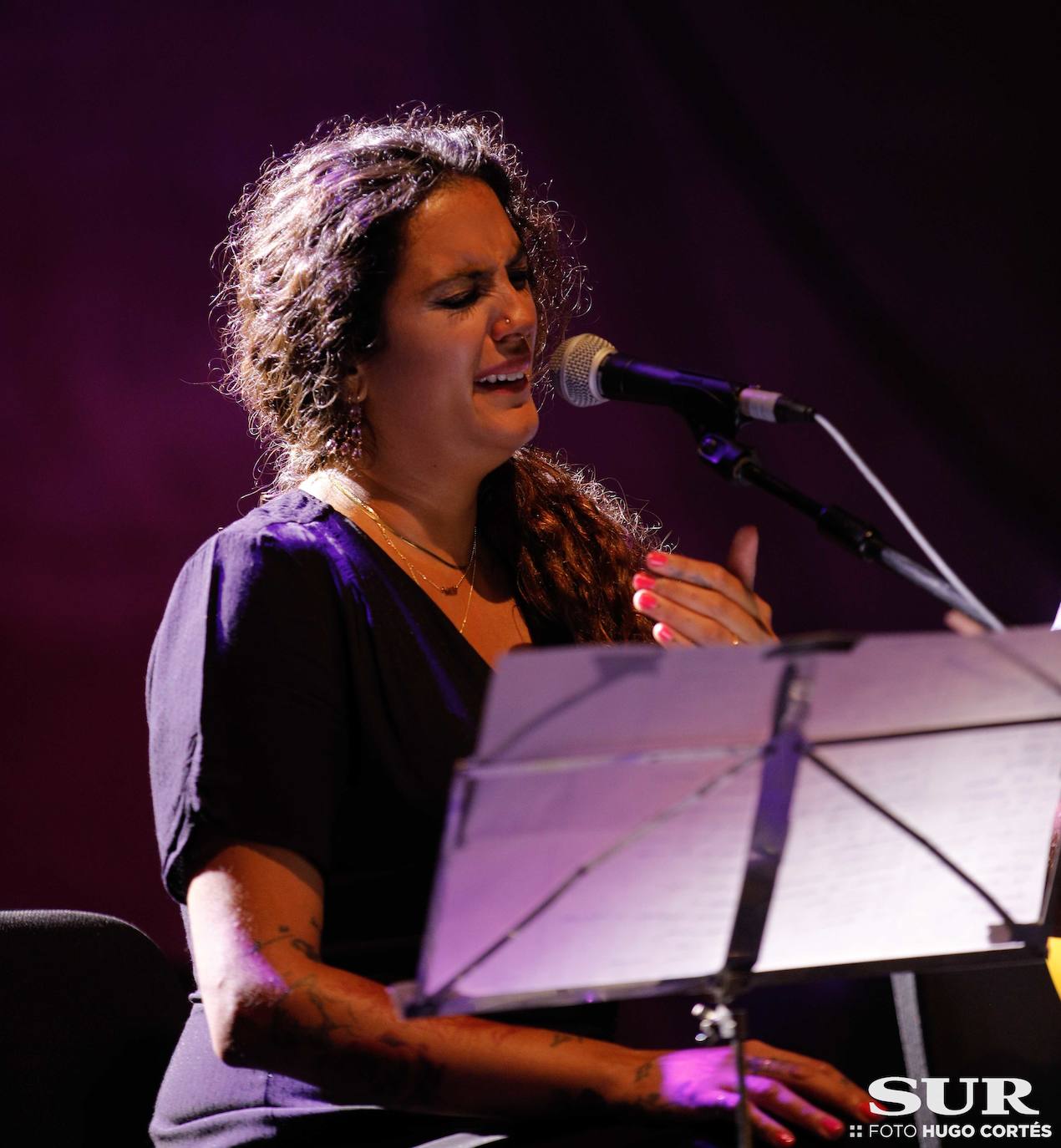 Fotos: Conciertos de Alba Molina y Lin Cortés en el Castillo Sohail