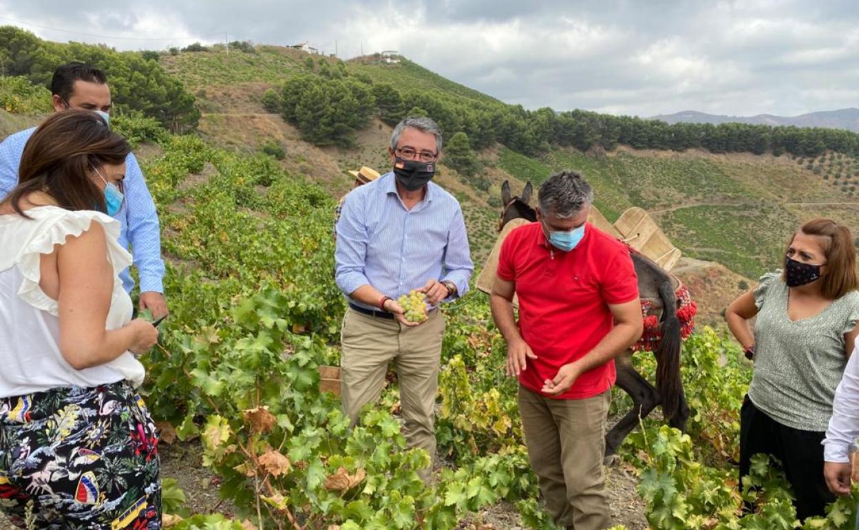 El presidente de la Diputación, Francisco Salado, se compromete a impulsar la Pasa de Málaga como Patrimonio Agrícola Mundial.