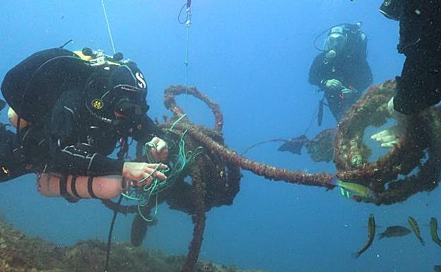 Un equipo de submarinistas retira residuos que afectan a estas especies. 