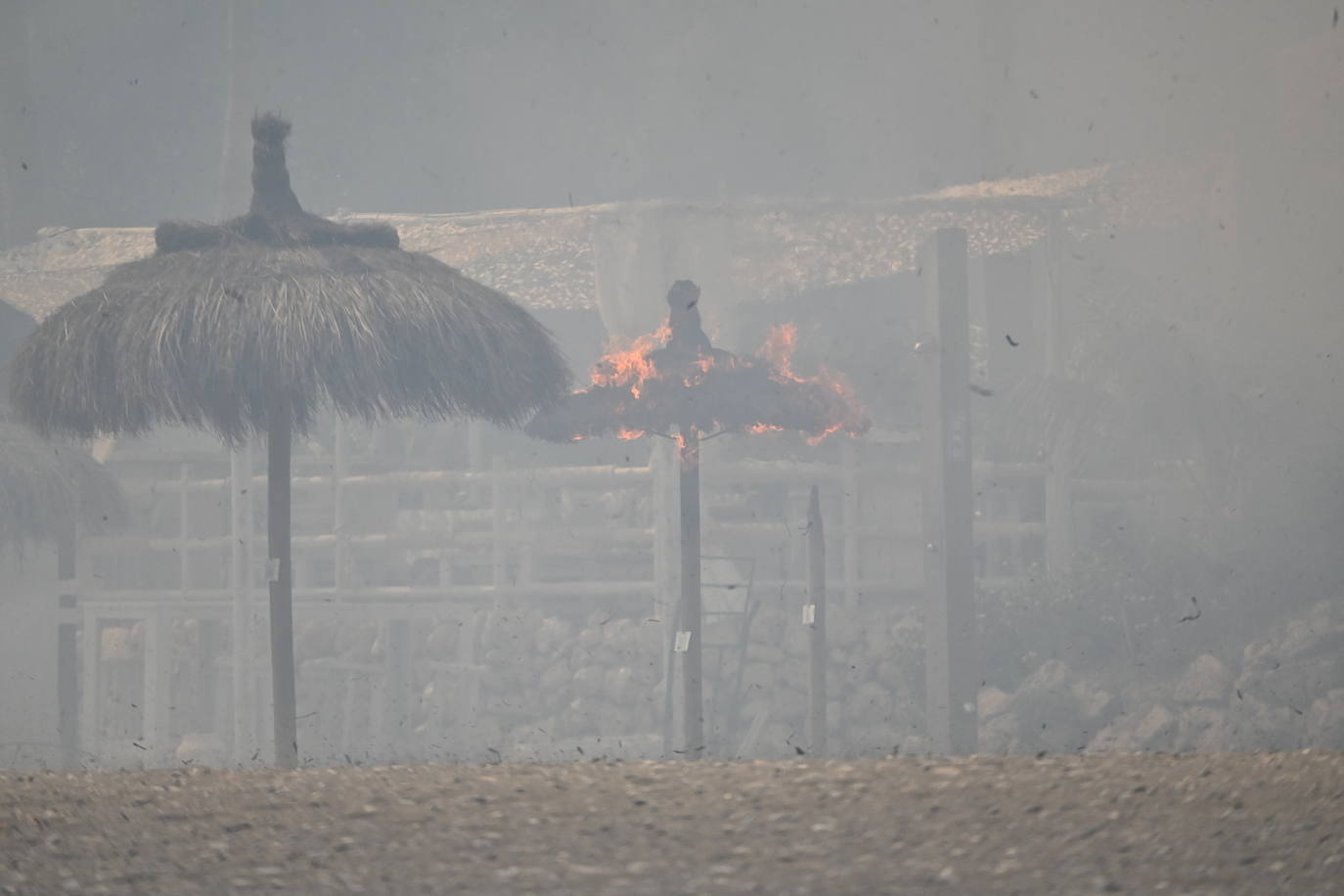 Efectivos del Plan Infoca y del Consorcio Provincial de Bomberos trabajan en la zona