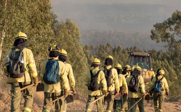 Trabajadores del Infoca en labores de extinción del incendio de la localidad de Almonaster la Real, en Huelva