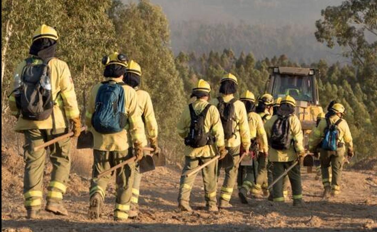 Imagen de archivo de trabajadores del Infoca