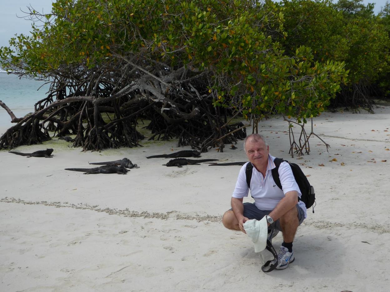 Las condiciones atmosféricas pueden anticipar la incidencia de medusas en las playas
