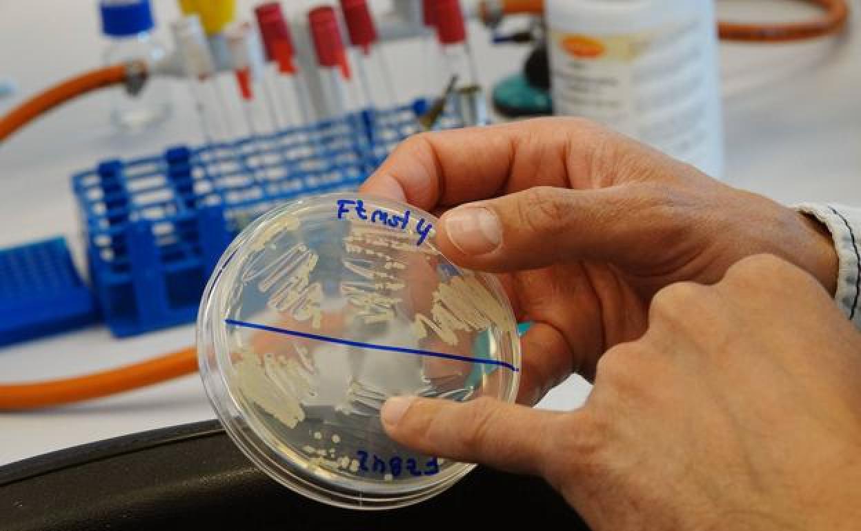 La Universidad de Málaga obtiene más de 13 millones para proyectos de I+D+i